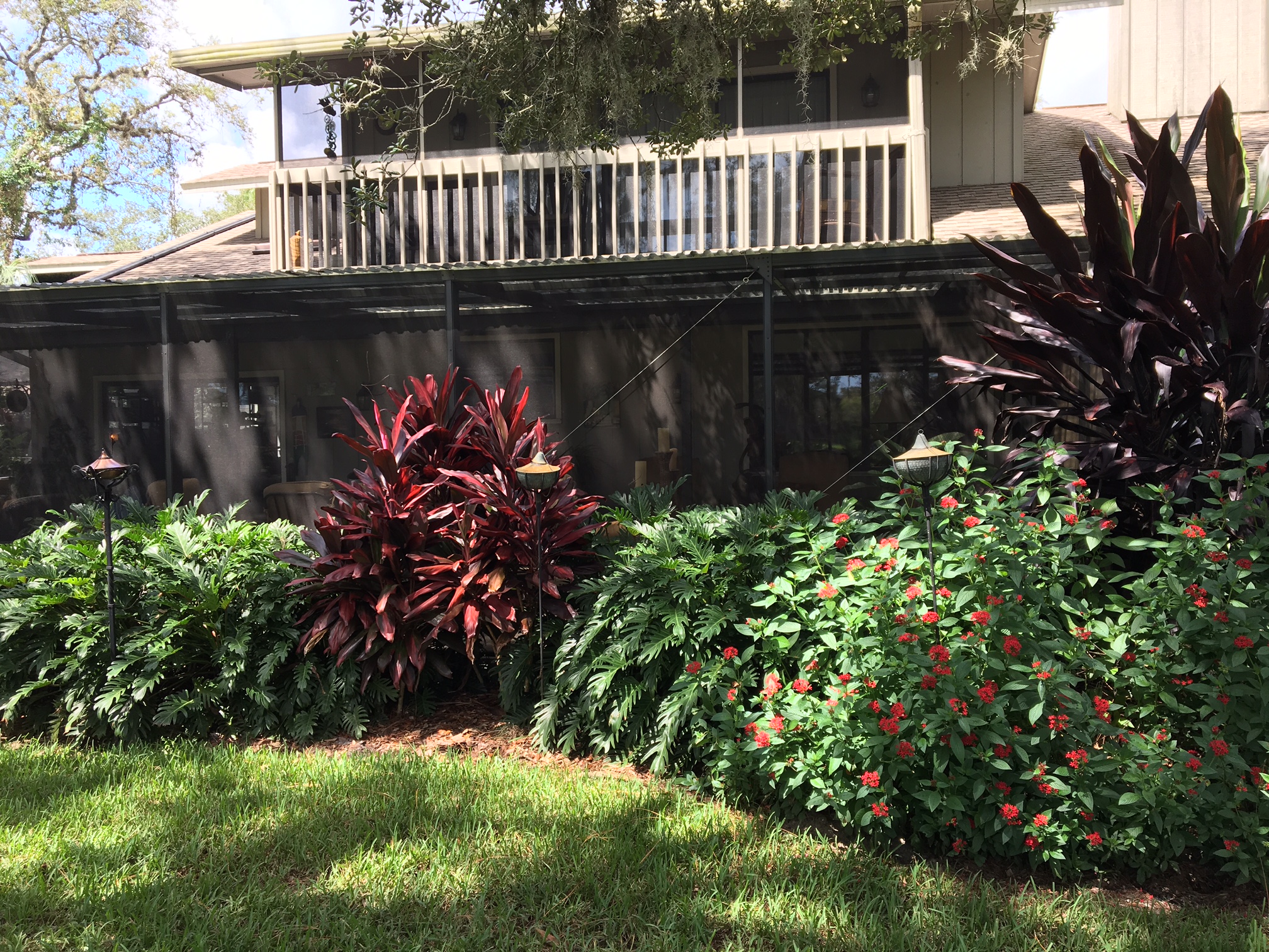 Beachside Gardens, LLC - SHADE GARDEN WITH TI PLANTS XANADU AND RED PENTAS